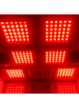 SaunaWellness PRO 10