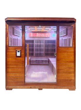 SaunaWellness PRO 10